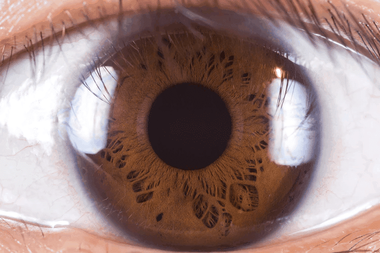 Eye Care Hacks