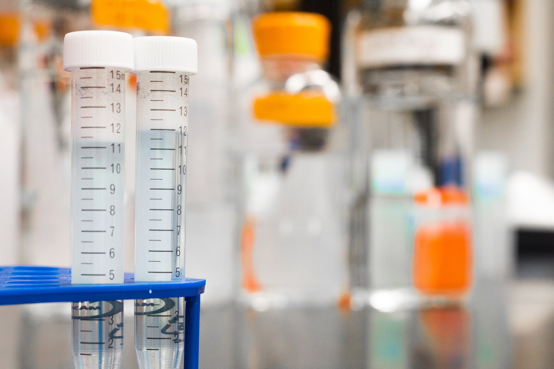 Biology Qualification